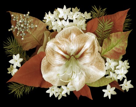 Creative flower arrangements in a modern florist shop